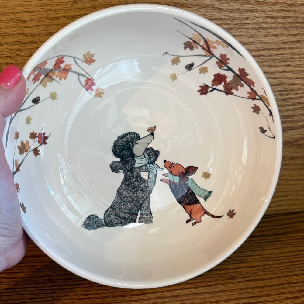 Dogs Dogs Dogs Pier 1 Imports Ironstone Ceramic Bowl Poodle Winer Dog Bull dog